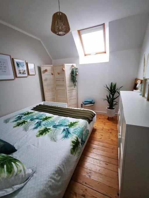 Guest House 60M2 Tout Confort Erquy Εξωτερικό φωτογραφία